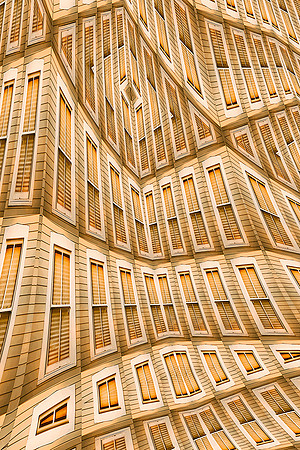 Window Silly